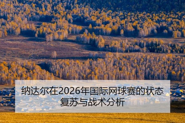 na-da-er-zai-nian-guo-ji-wang-qiu-sai-de-zhuang-tai-fu-su-yu-zhan-shu-fen-xi-2-639.jpg