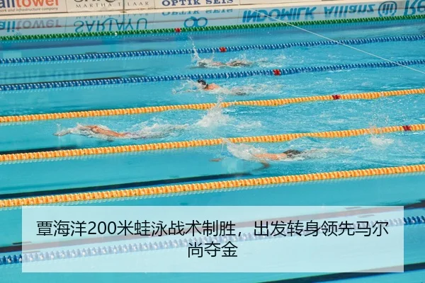 tan-hai-yang-mi-wa-yong-zhan-shu-zhi-sheng-chu-fa-zhuan-shen-ling-xian-ma-er-shang-duo-jin-2-614.jpg